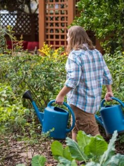 French Blue Watering Can 19 French Blue Watering Can -The Garden Works Shop 06341 1390 tif