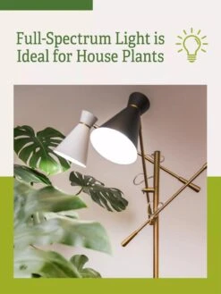 Adjustable 3-Arm Grow Lamp -The Garden Works Shop 3 Arm 1