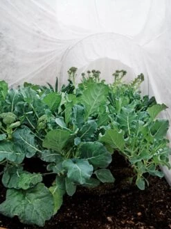 Summerweight Garden Fabric 10 Summerweight Garden Fabric -The Garden Works Shop 32644 7936 tif