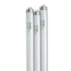 4' SunLite® T-8 Bulbs, Set Of 3 -The Garden Works Shop 34745 001ed tif