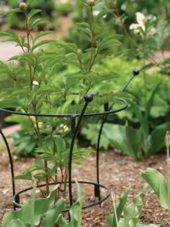 Front Page -The Garden Works Shop 37450 7614 tif