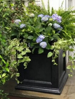 Fairfield Self-Watering Square Planter, 20” X 20” -The Garden Works Shop 39 618 205V tif