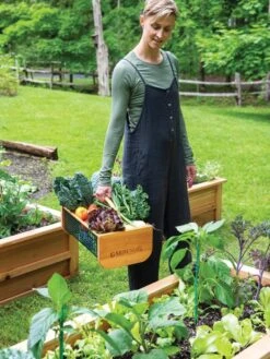 Garden Hods -The Garden Works Shop 39 761 0146 tif