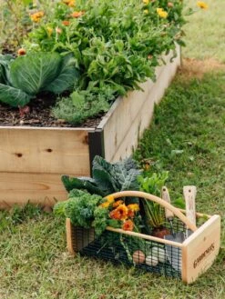 Garden Hods -The Garden Works Shop 39 761 572 tif