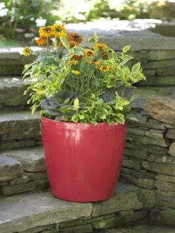 Viva Round Self-Watering Rolling Planter, 17.25” Diameter -The Garden Works Shop 39326 046 tif