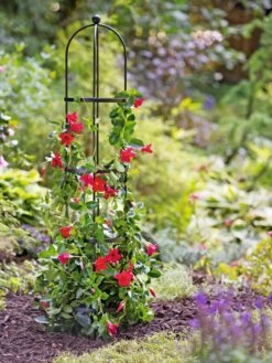 Essex Round Trellises 13 Essex Round Trellises -The Garden Works Shop 39544 2267 tif