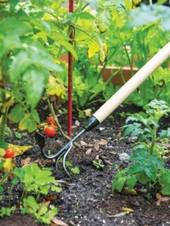 Gardener's Lifetime Long-Handled Double Tool 9 Gardener's Lifetime Long-Handled Double Tool -The Garden Works Shop 3 4 crop 8592107 2460 tif