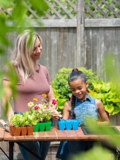 Sili-Seedlings® Seedling Tray, 6-Cell -The Garden Works Shop 3 4 crop 8611062 004 tif