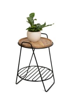 Hairpin Plant Stand With Shelf -The Garden Works Shop 3 4 crop 8612670 2216