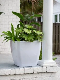 Viva Square Self-Watering Rolling Planter, 20" Diameter, Set Of 2 -The Garden Works Shop 3 4 crop 8612930 0033 tif