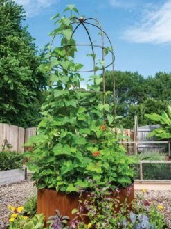 Front Page -The Garden Works Shop 3 4 crop 8612997 0055