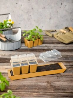 Gardener's Best® Humidity Dome, Set Of 2 -The Garden Works Shop 3 4 crop 8613067 10063