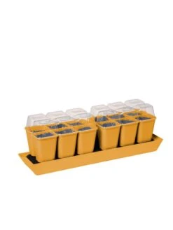 Gardener's Best® Humidity Dome, Set Of 2 -The Garden Works Shop 3 4 crop 8613067 5879 tif