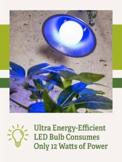 Miracle LED® Grow Light Bulb, Blue -The Garden Works Shop 3 4 crop Miracle Bulb Blue 2