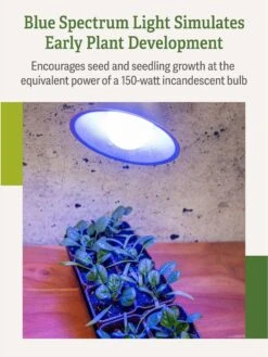 Miracle LED® Grow Light Bulb, Blue -The Garden Works Shop 3 4 crop Miracle Bulb Blue 3