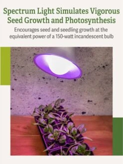 Miracle LED® Grow Light Bulb, Red And Blue -The Garden Works Shop 3 4 crop Miracle Bulb RB 3