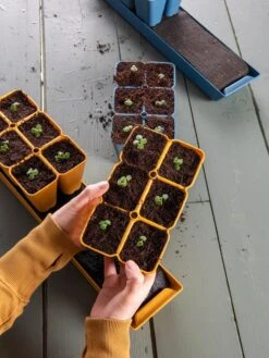 Gardener's Best® XL Seed Starting Kit -The Garden Works Shop 40 135 6186