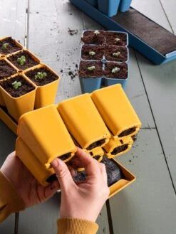 Gardener's Best® XL Seed Starting Kit -The Garden Works Shop 40 135 6188