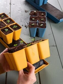 Gardener's Best® XL Seed Starting Kit -The Garden Works Shop 40 135 6192