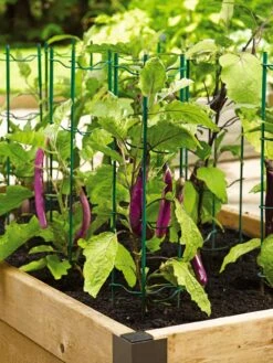 Pepper And Eggplant Stakes, Set Of 3 7 Pepper And Eggplant Stakes, Set Of 3 -The Garden Works Shop 40308 2116 tif