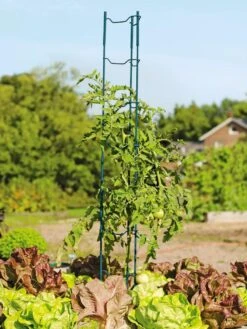 Stacking Tomato Ladders, Set Of 6 -The Garden Works Shop 40309 100 tif