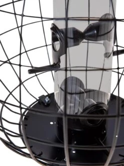 Mixed Seed Globe Cage Feeder -The Garden Works Shop 8586659 6400