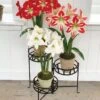 Nesting Triple Pot Stand -The Garden Works Shop 8586747 6012 tif