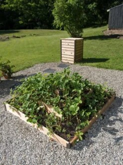 3-Tier Strawberry Bed -The Garden Works Shop 8586752 2341 tif
