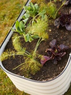 Birdies™ Modular Metal Raised Bed -The Garden Works Shop 8586930 6019 tif