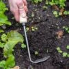 Gardener's Lifetime Cape Cod Weeder, Right-Handed 1 Gardener's Lifetime Cape Cod Weeder, Right-Handed -The Garden Works Shop 8586974 2361 tif
