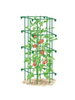 Tomato Cage, Single -The Garden Works Shop 8587039 TomatoCage GRN tif