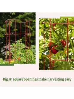 Tomato Cages, Set Of 4 -The Garden Works Shop 8587040 2
