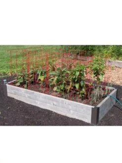 Pepper And Eggplant Cages, Set Of 3 -The Garden Works Shop 8587048 6008 3 4