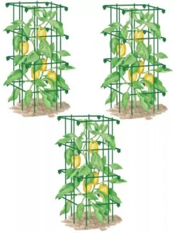 Pepper And Eggplant Cages, Set Of 3 -The Garden Works Shop 8587048 GR 001E pepper and eggplant cages set of 3 tif