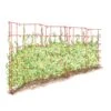 Expandable Pea Trellis -The Garden Works Shop 8587061 PeaFence Red 001E tif