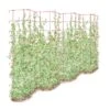 Tall Expandable Pea Trellis -The Garden Works Shop 8587062 0001 RED tall expandable pea trelis tif
