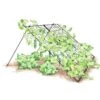 Large Cucumber Trellis -The Garden Works Shop 8587082 CukeTrellis L Blk 001E tif
