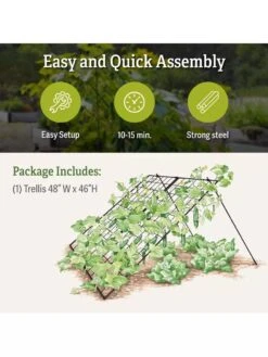 Large Cucumber Trellis -The Garden Works Shop 8587082 product details