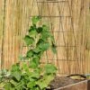 Wire A-Frame Trellis -The Garden Works Shop 8587104 526 tif
