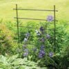 Jardin Ladder Trellis -The Garden Works Shop 8587107 1651 tif