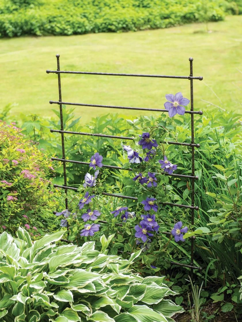 Jardin Ladder Trellis 3 Jardin Ladder Trellis
