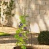 Jardin Pot Trellis -The Garden Works Shop 8587120 224 tif