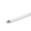 T5 Replacement Bulb 2 T5 Replacement Bulb -The Garden Works Shop 8587296 156 tif