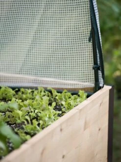 Planter Box, Frame And 2 Covers Kit, 2' X 4' 16 Planter Box, Frame And 2 Covers Kit, 2' X 4' -The Garden Works Shop 8587631 265 tif 1