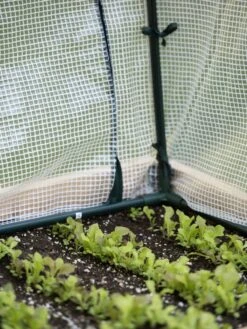 Protection Frame & Covers, 2' X 8' -The Garden Works Shop 8587631 271 tif