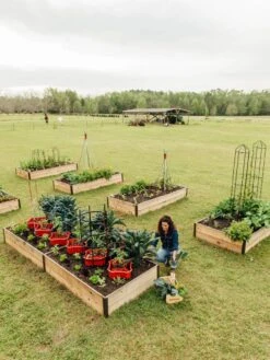 Deep Root Raised Beds, 14" Deep 4' Wide -The Garden Works Shop 8587813 505 tif