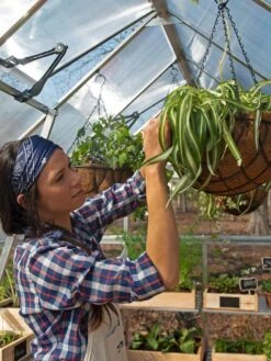 Canopia® By Palram Balance Greenhouse, 8' X 12' -The Garden Works Shop 8588023 07V jpg