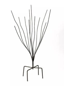 Bottle Bush -The Garden Works Shop 8588047 0697