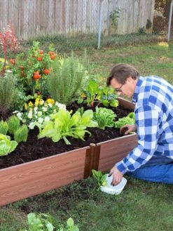 Composite Raised Bed With 1" Boards, 11" 20 Composite Raised Bed With 1" Boards, 11" -The Garden Works Shop 8588274 02V tif