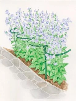 Tidy Path Supports -The Garden Works Shop 8588403 003 1